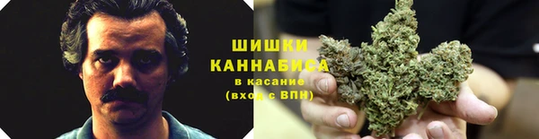 дмт Нея