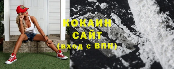 дмт Нея